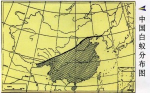 中國(guó)的白蟻分布(陰影部分)