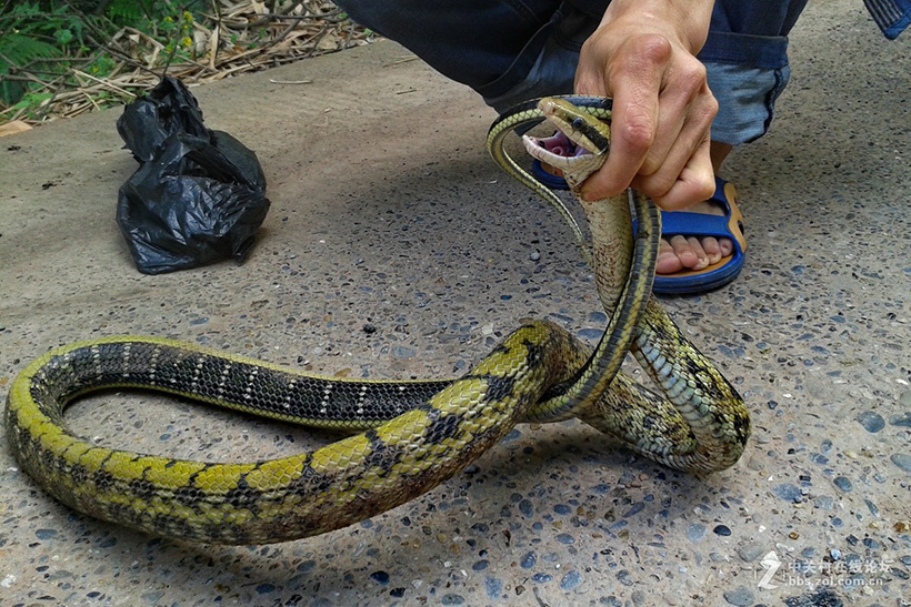 圖片上傳